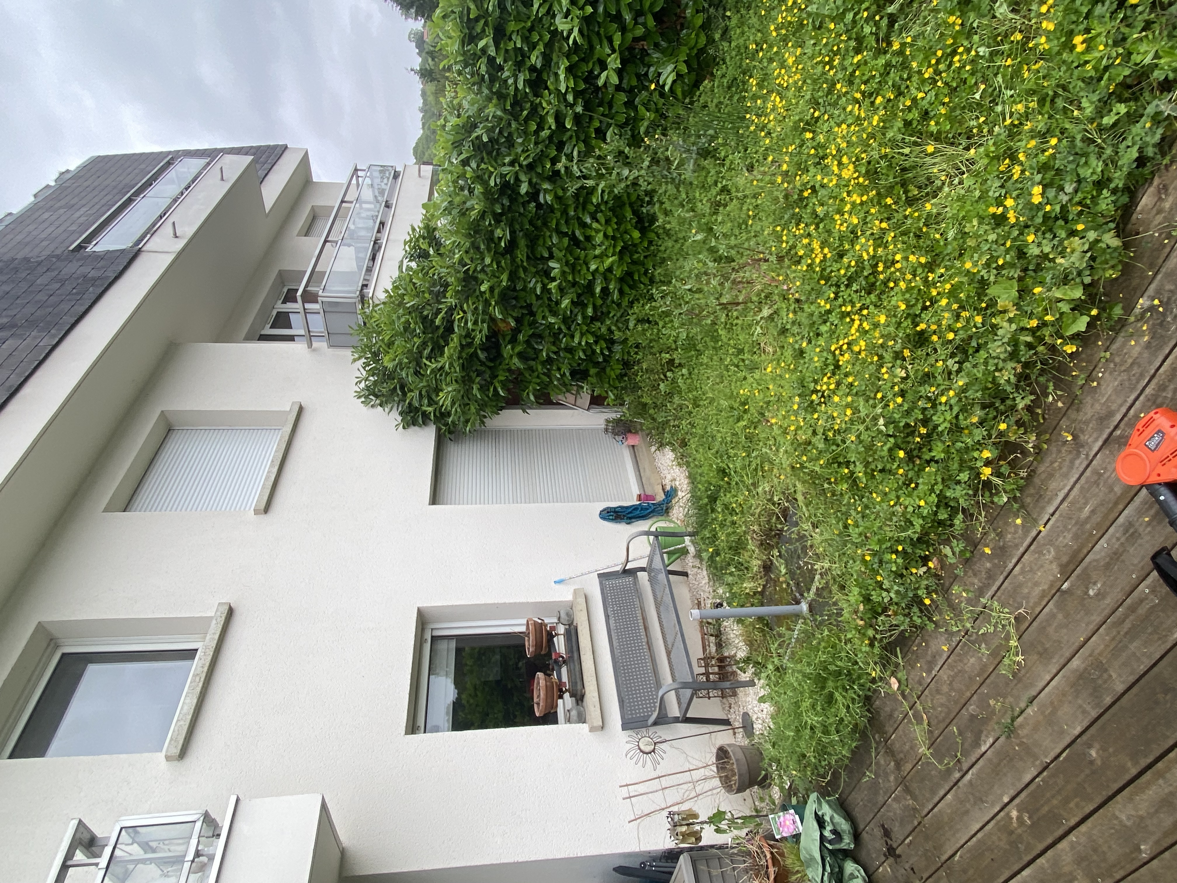 Jardin avant travaux – vue d'ensemble mauvaises herbes