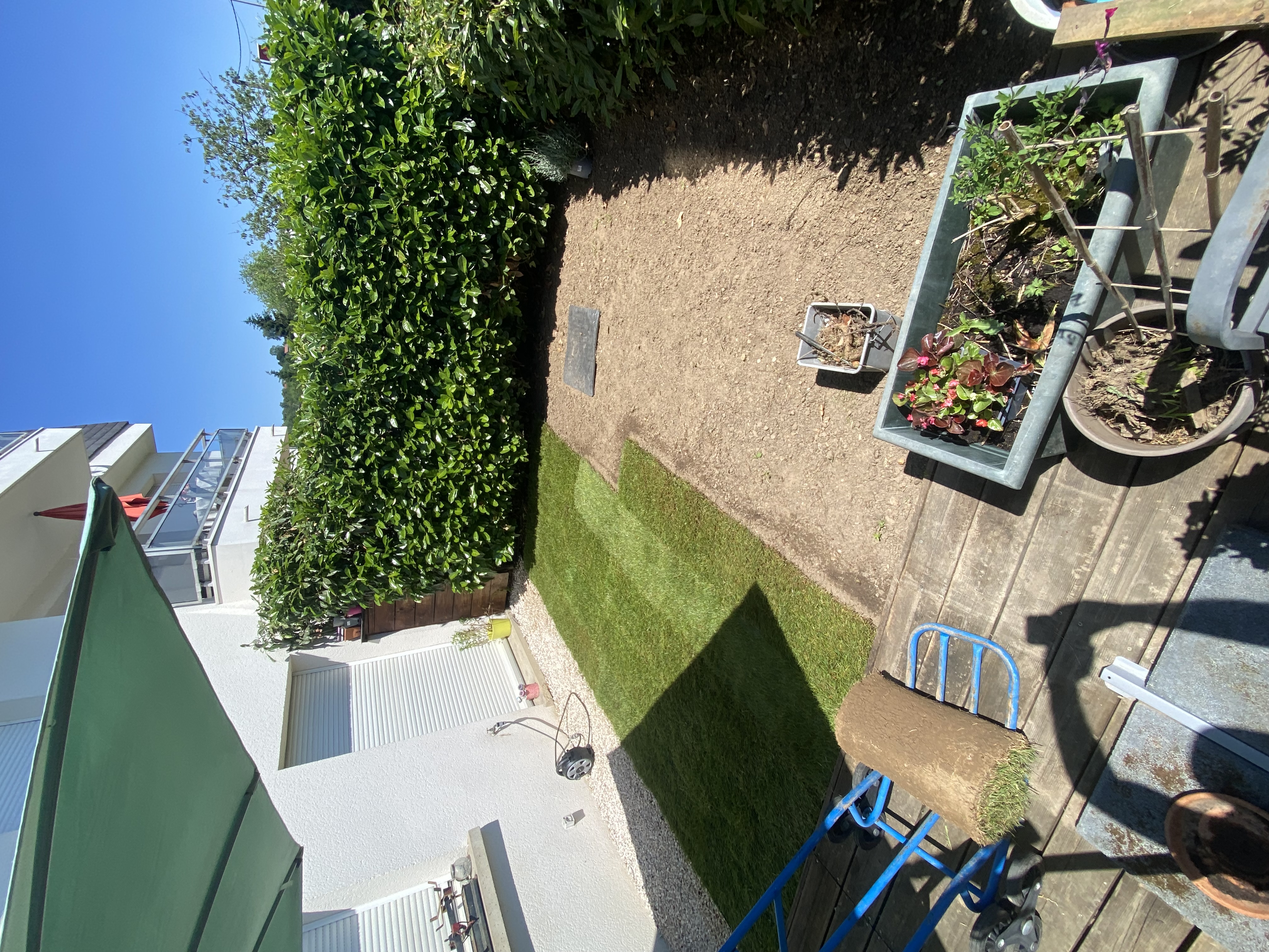 Jardin pendant travaux – pose des premiers rouleaux de gazon