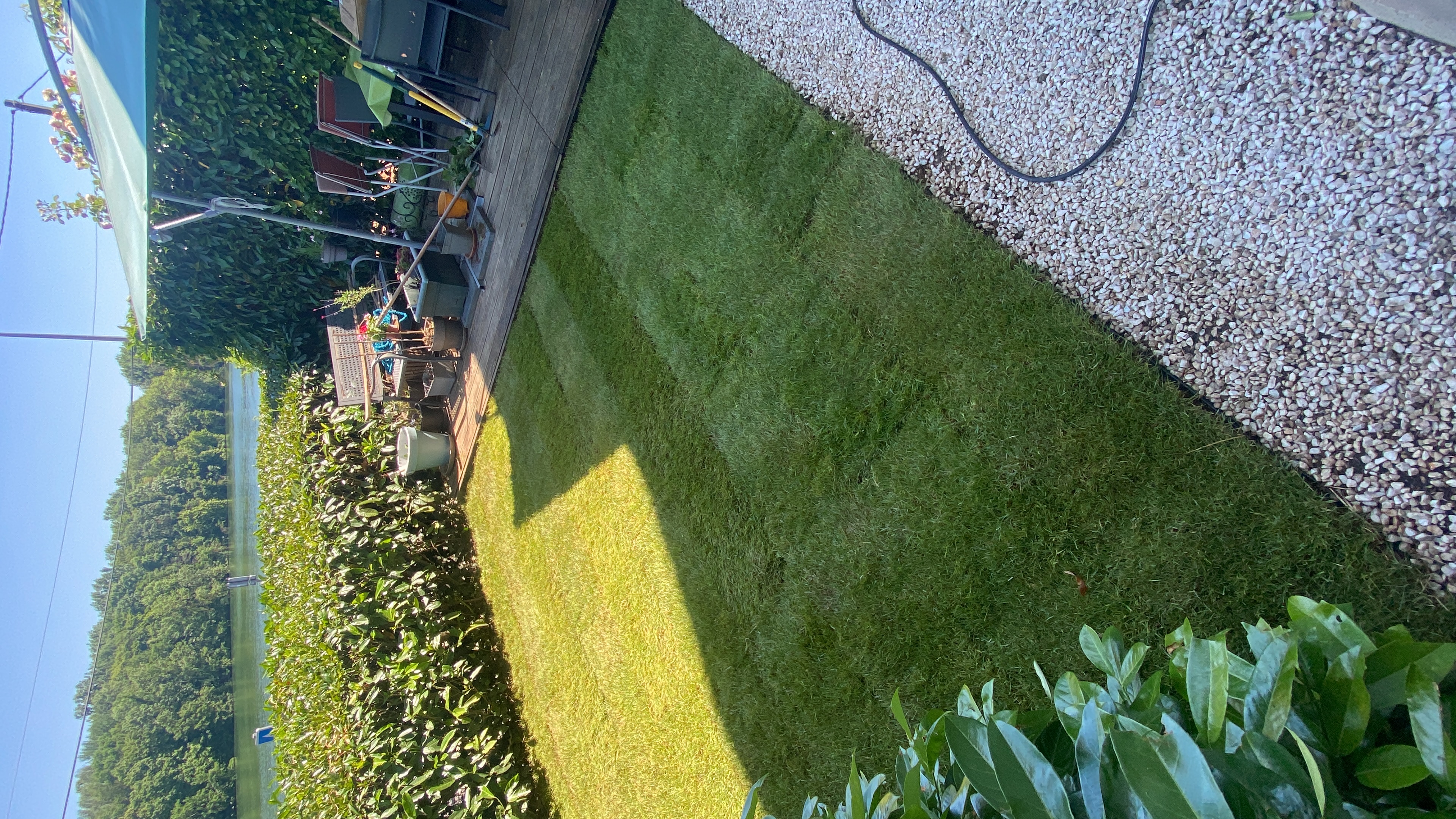 Jardin gazon posé – vue d'ensemble résultat final