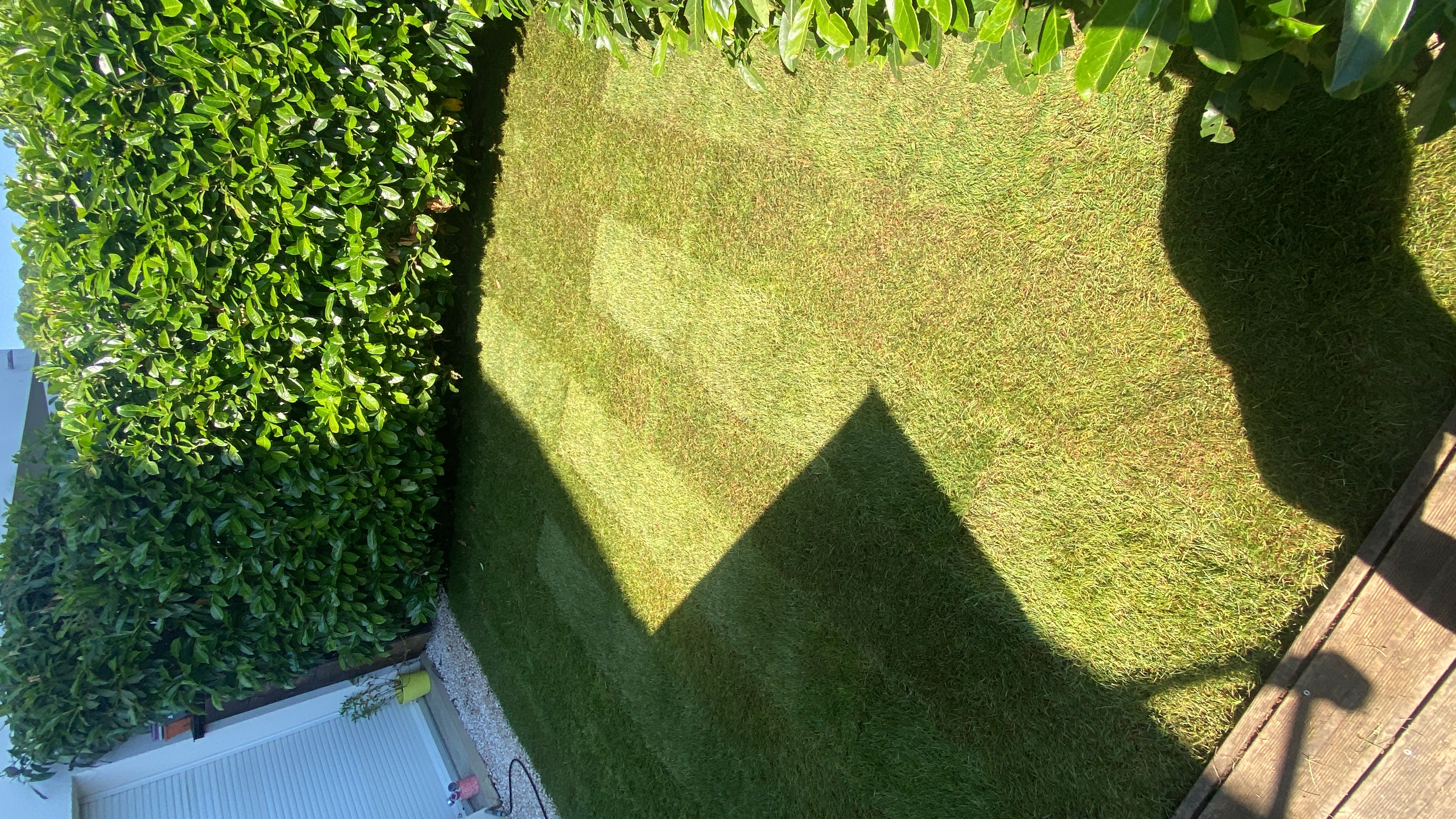 Gazon vert luxuriant – résultat final vue 3